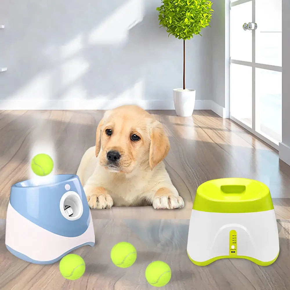 Automatic Tennis Ball Launcher – My Store